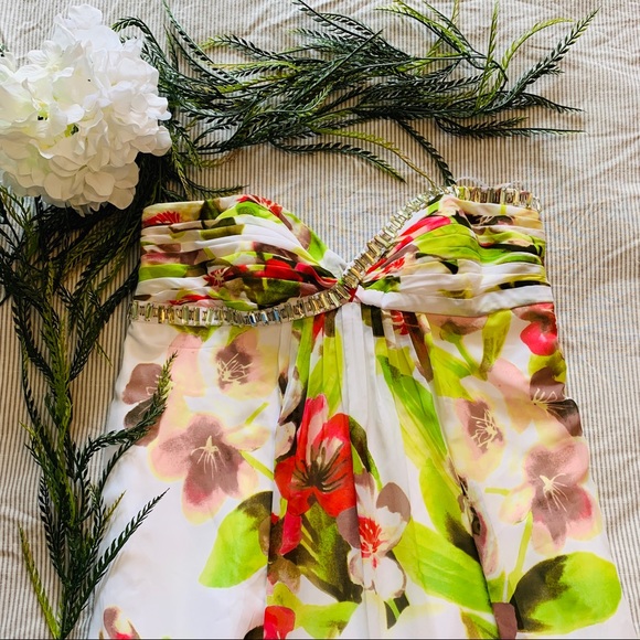 Cachè formal dress - Picture 1 of 7